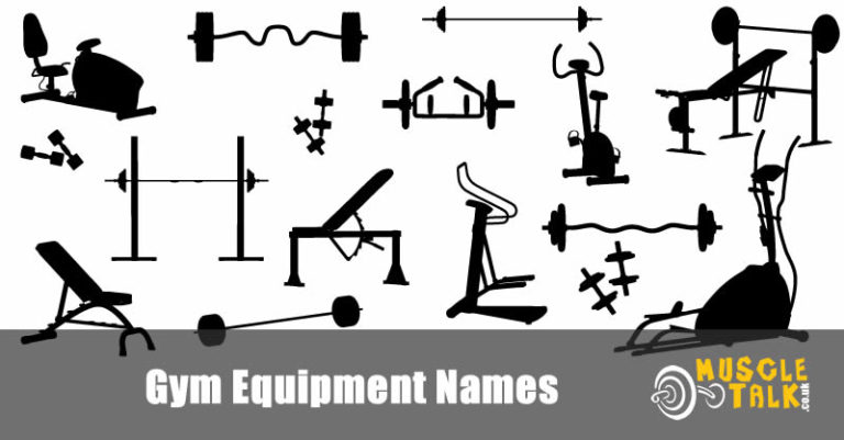 gym-equipment-names-guide-including-the-muscles-they-work